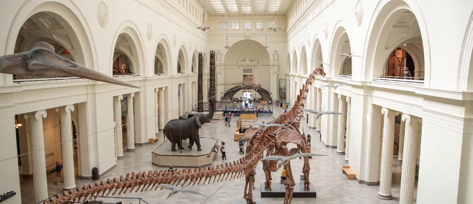 48 Hours in Chicago: Best Things to Do, Eat & Explore 