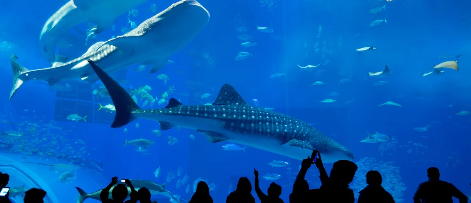 48 Hours in Chicago: Best Things to Do, Eat & Explore 